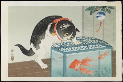 Cat and Goldfish, 1930s by Ohara Koson
